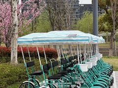 -金沙湖公园