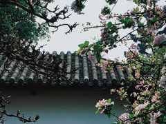 -棠湖公园