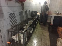 -温江公平红烧兔(总店)