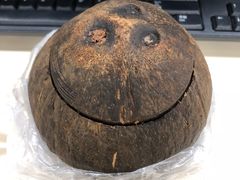 原只椰子炖鹌鹑-達揚原味燉品(文明路店)
