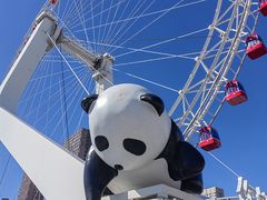 -天津之眼摩天轮