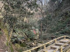 -波尔登森林公园