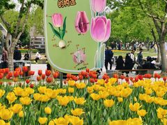 -长春公园(普阳街道)