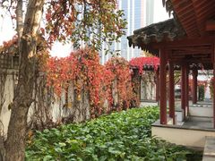 -亮马河饭店翠雅咖啡厅