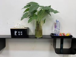 -蚂蚁造型俱乐部