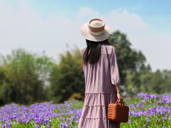 -白鹭湾湿地公园