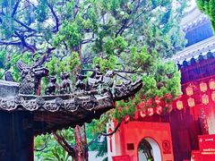 -秋霞圃