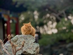 -颐和园