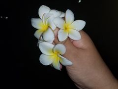-三亚美高梅度假酒店滺水疗