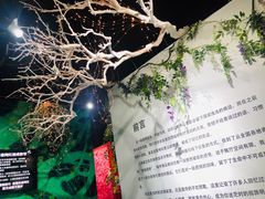 -上海外滩星空失恋减压馆(外滩旗舰馆)