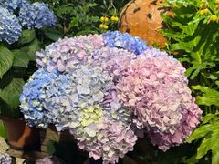 -花二家·生活馆(六运小区店)