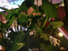 -欢乐酷量贩KTV(万达广场店)