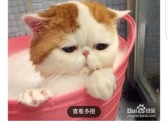 -半糖主义(龙绣街店)