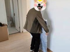 -上海蓝犀牛邦速搬家公司搬家