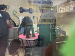 -全心全意连锁动物医院(石景山店)