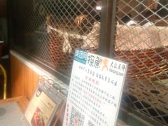 -探鱼·鲜青椒爽麻烤鱼(广州花都来又来店)