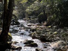 -天岳幕阜山