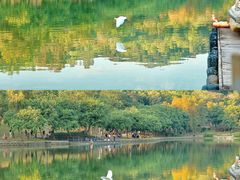 -莲花山公园