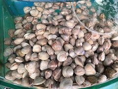 -沿海渔家院蒸汽海鲜·东北菜(东戴河店)