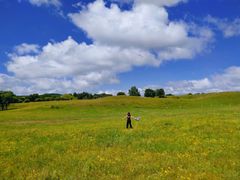 -塞罕坝国家级自然保护区