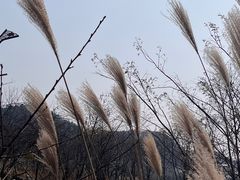 -贵阳蓬莱仙界