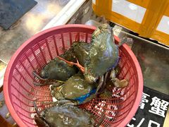 -莲花公园煎蟹(总店)