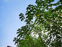 -观潮胜地公园