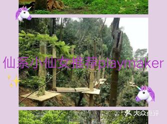 今天要给各位宝妈们推荐的是可拉熊丛林探险营地强烈要求