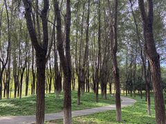 -东郊湿地公园