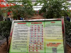 大堂-老磨油饼(高陵店)