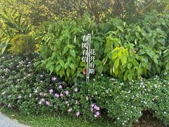 -云溪植物园