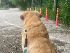 -白水寺森林公园