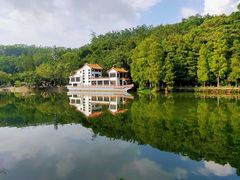 -深圳仙湖植物园