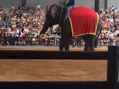 -东芭乐园