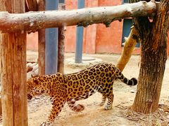 -济南野生动物世界