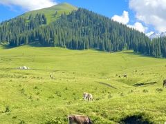 -新疆那拉提国家旅游度假区