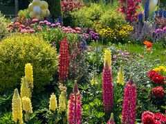 -上海共青森林公园