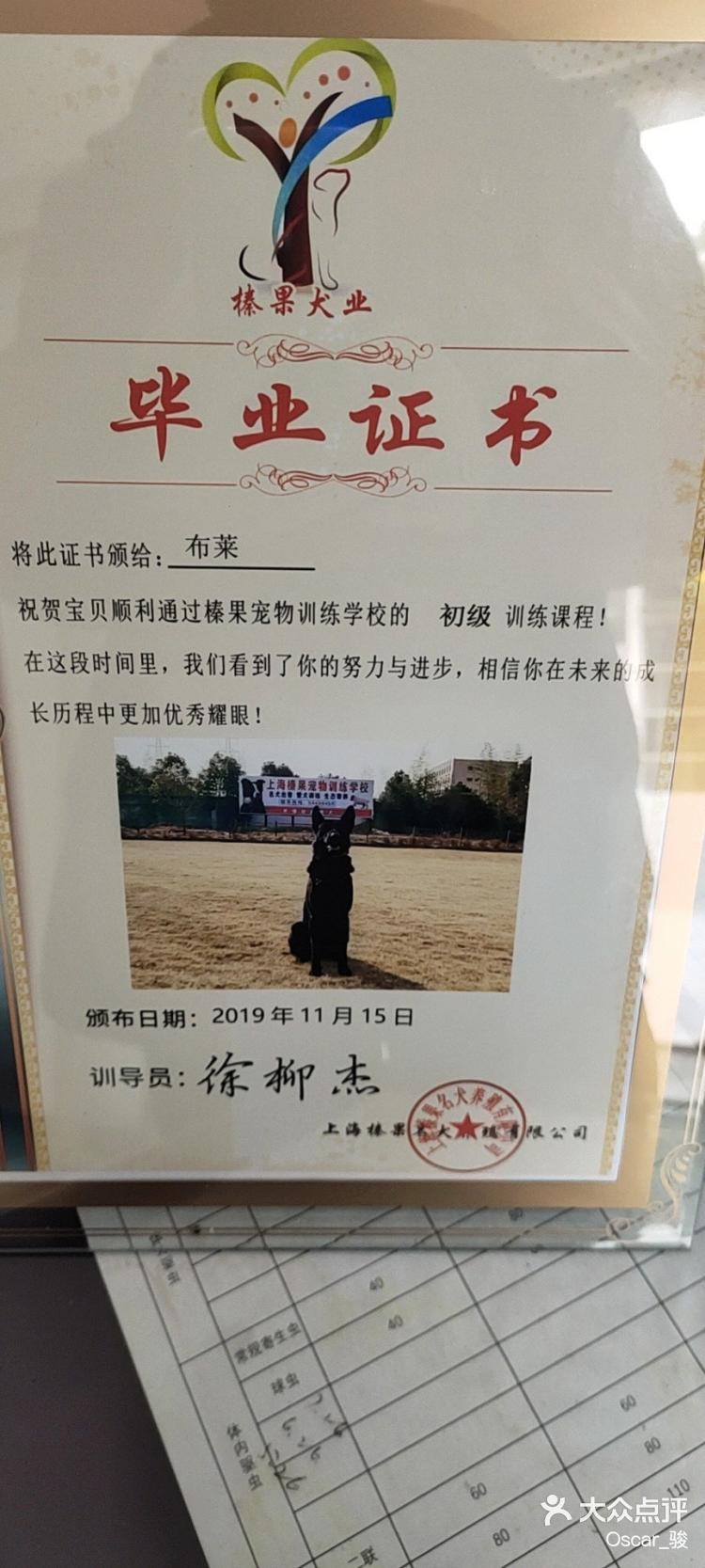 训犬教练报名网站_训犬师报名