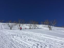 -大秃顶子山
