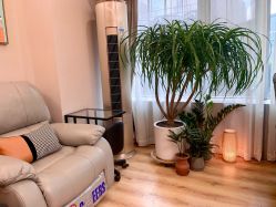 -爱小小美甲美学