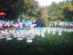 -陶然花园·婚宴