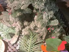 -泰古龙抓龙筋·spa按摩(静安店)