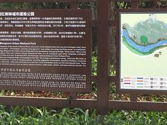 -大亚湾红树林城市湿地公园