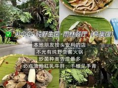 -西双版纳原始森林公园