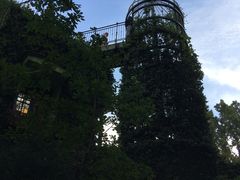 景点-三鹰之森吉卜力美术馆