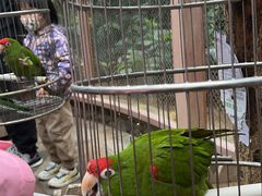 -南宫五洲植物乐园