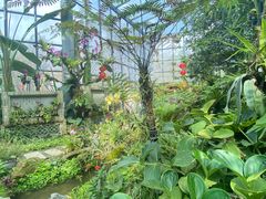 -东莞植物园