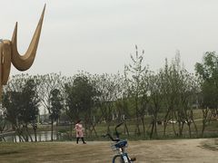 -两河城市森林公园