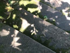 -保利石象湖景区