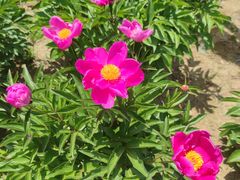 -兰陵国家农业公园